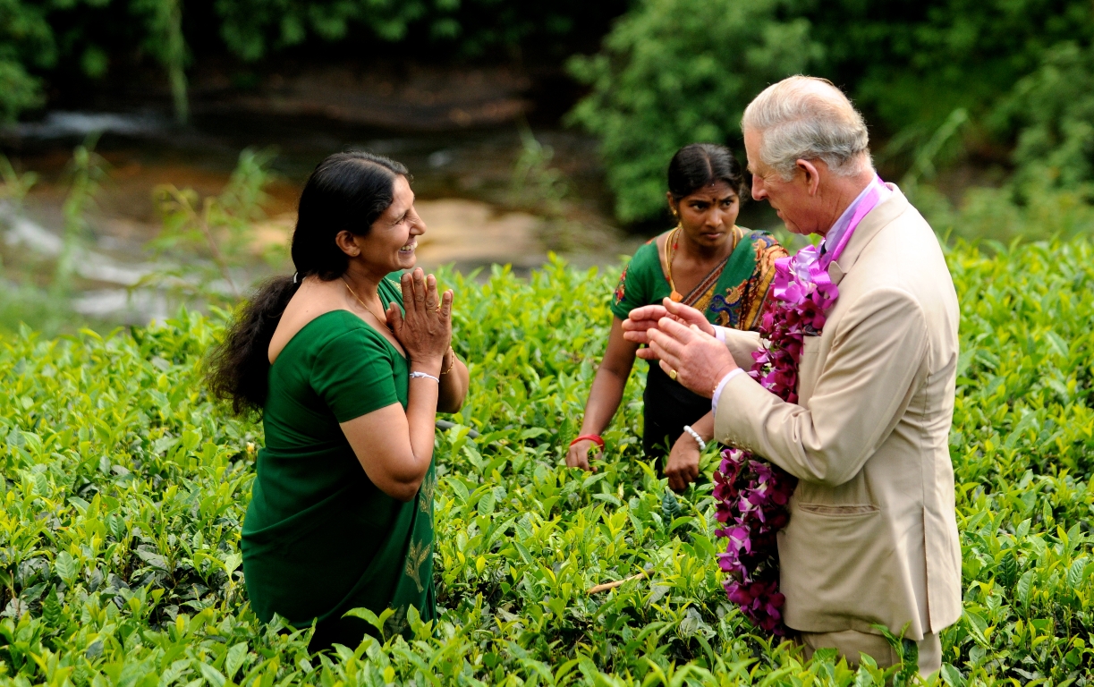 10975295446_b4c41c2988_o